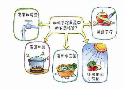 如何減少農(nóng)藥污染去除農(nóng)藥殘留？振華化工總結(jié)以下幾點(diǎn)分享給大家